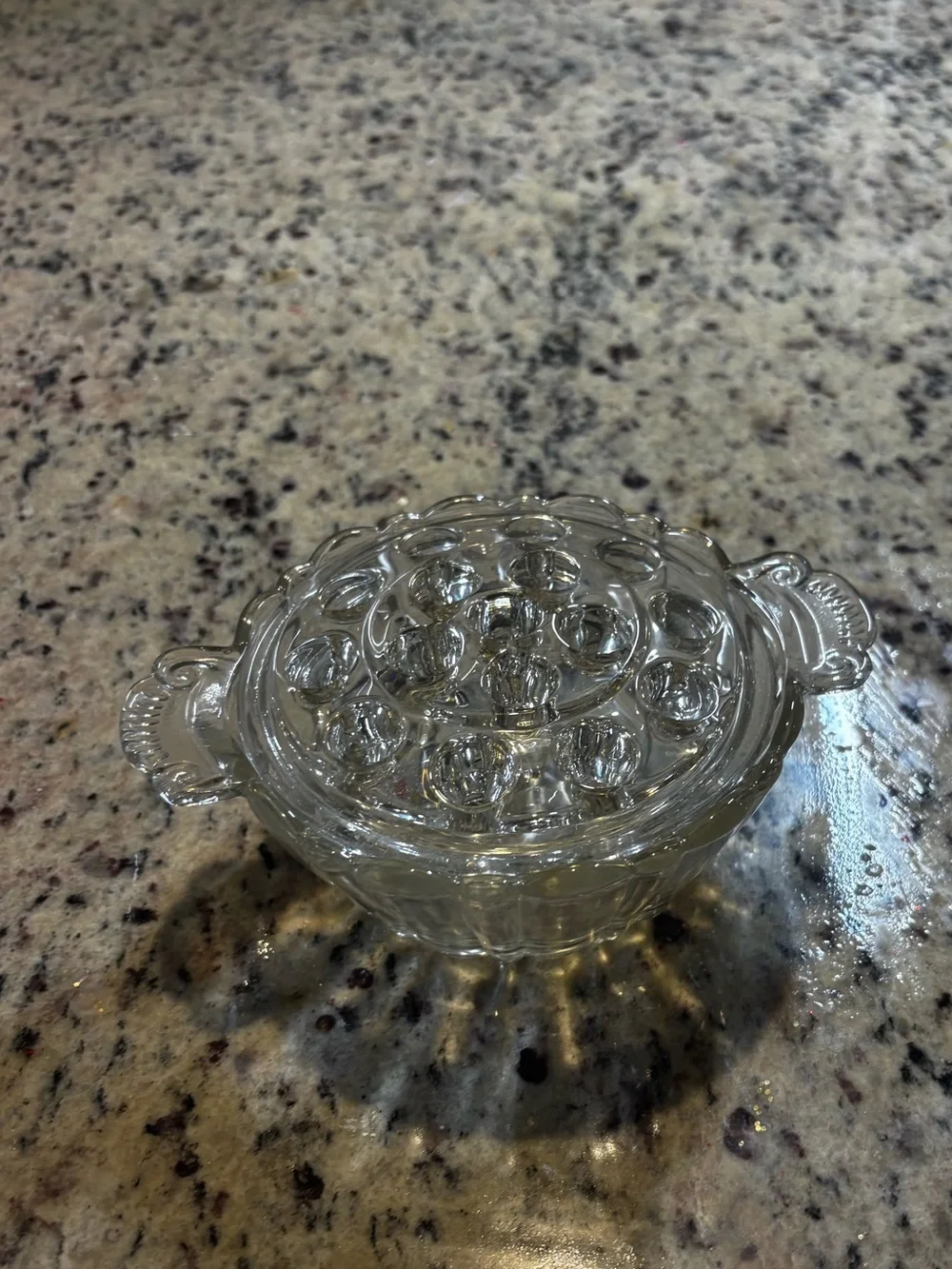 Clear Glass Egg Holder Serving Dish - Transparent
